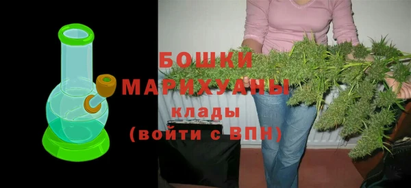 бошки Белокуриха