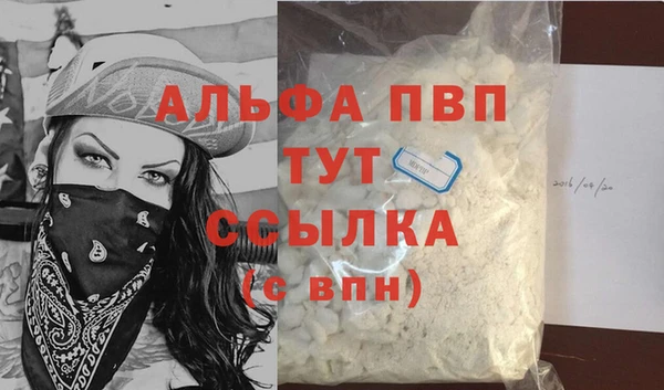 бошки Белокуриха