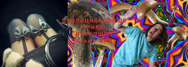 крисы Баксан