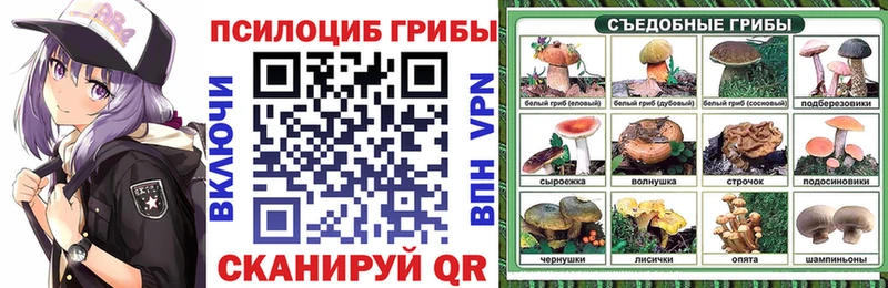 наркота KRAKEN зеркало Псилоцибиновые грибы MAGIC MUSHROOMS Владивосток
